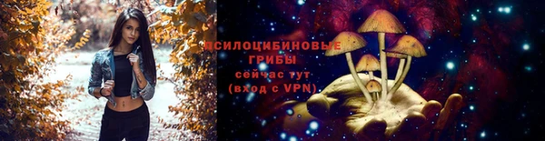 соль ск Богданович