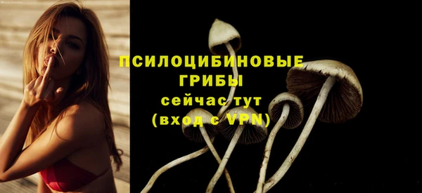 бошки Белокуриха