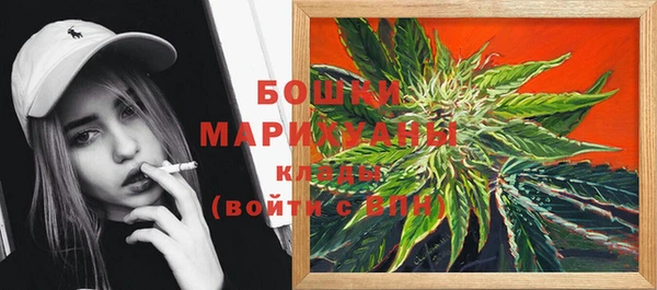 соль ск Богданович