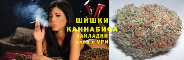 соль ск Богданович