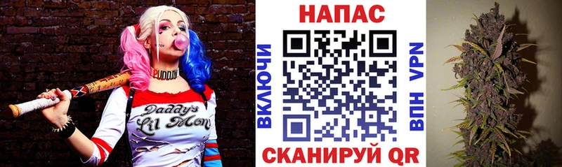 Канабис марихуана  Болотное 